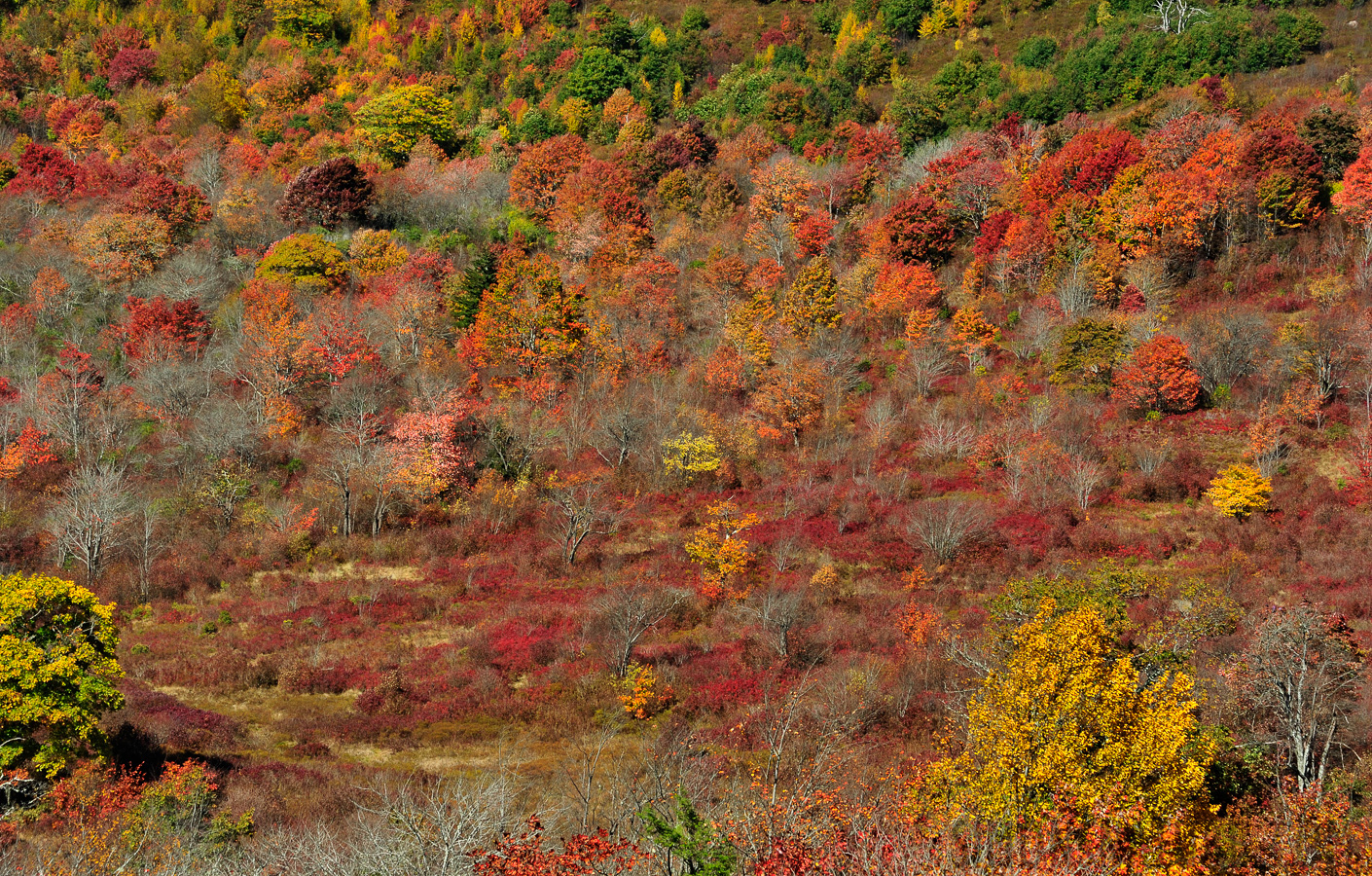 Blue Ridge Parkway [112 mm, 1/125 Sek. bei f / 10, ISO 400]